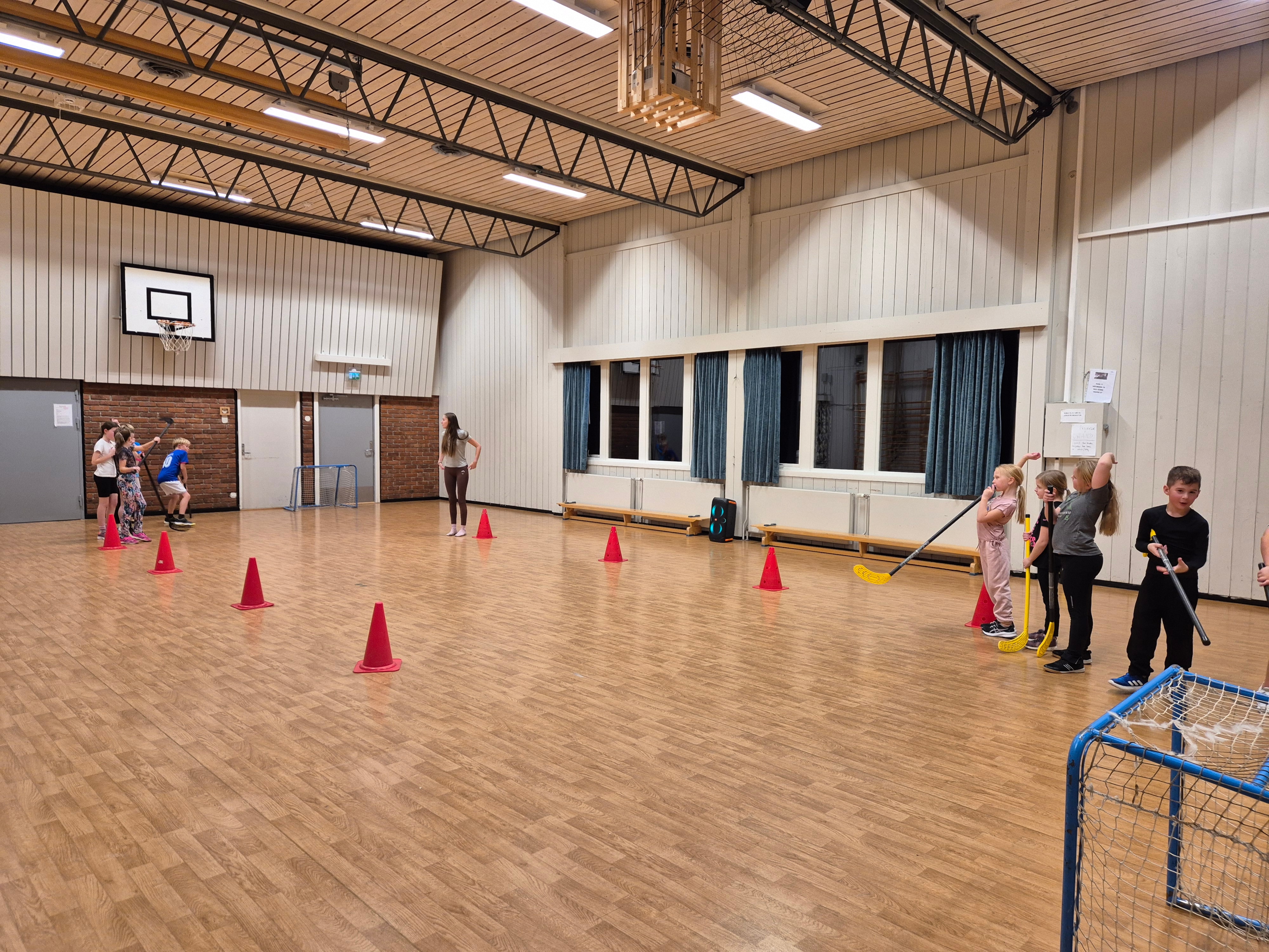 Allidretten 10. februar er ballspill i gymsalen